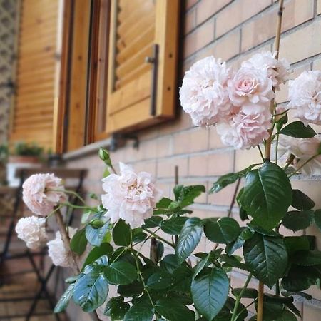 시에나 Scacciapensieri Vicino Al Policlinico E Al Centro Citta 아파트 외부 사진